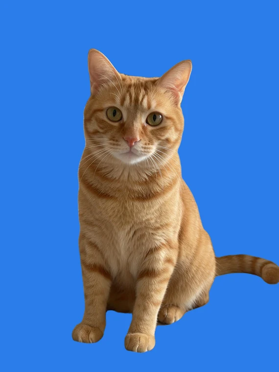 蓝底 PNG