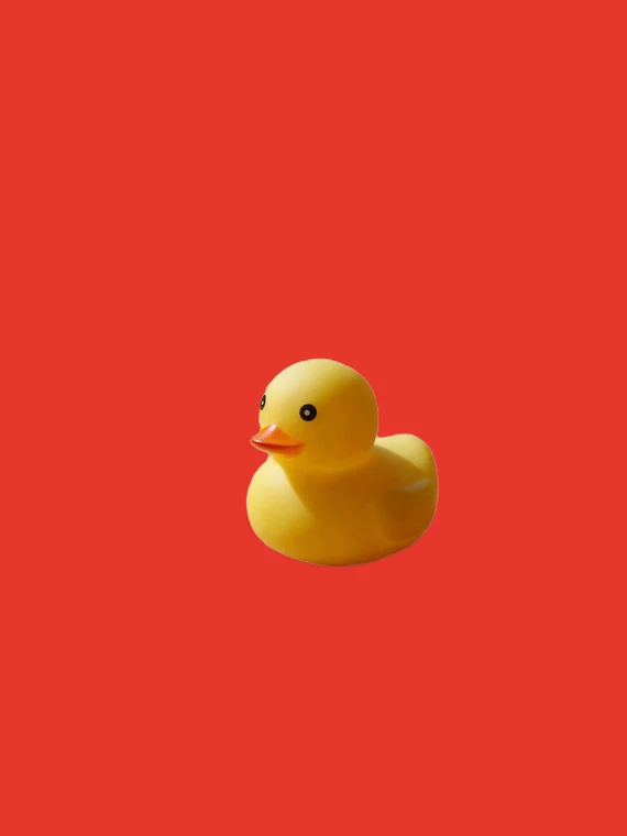 红底 PNG